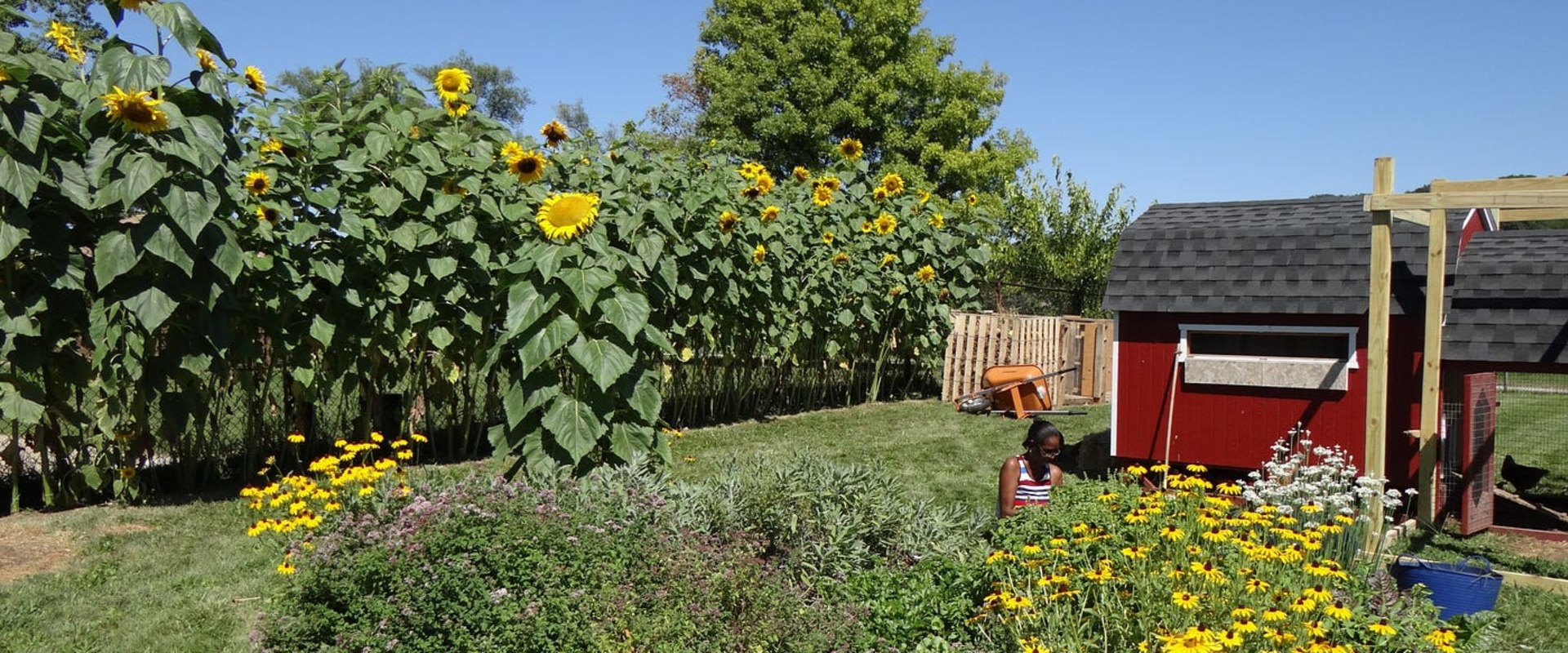 The Impact of Public Policies on Addressing Environmental Concerns in Akron, OH