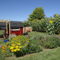 The Impact of Public Policies on Addressing Environmental Concerns in Akron, OH