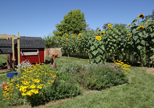 The Impact of Public Policies on Addressing Environmental Concerns in Akron, OH